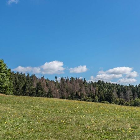 UrbergHaus Isele公寓 外观 照片