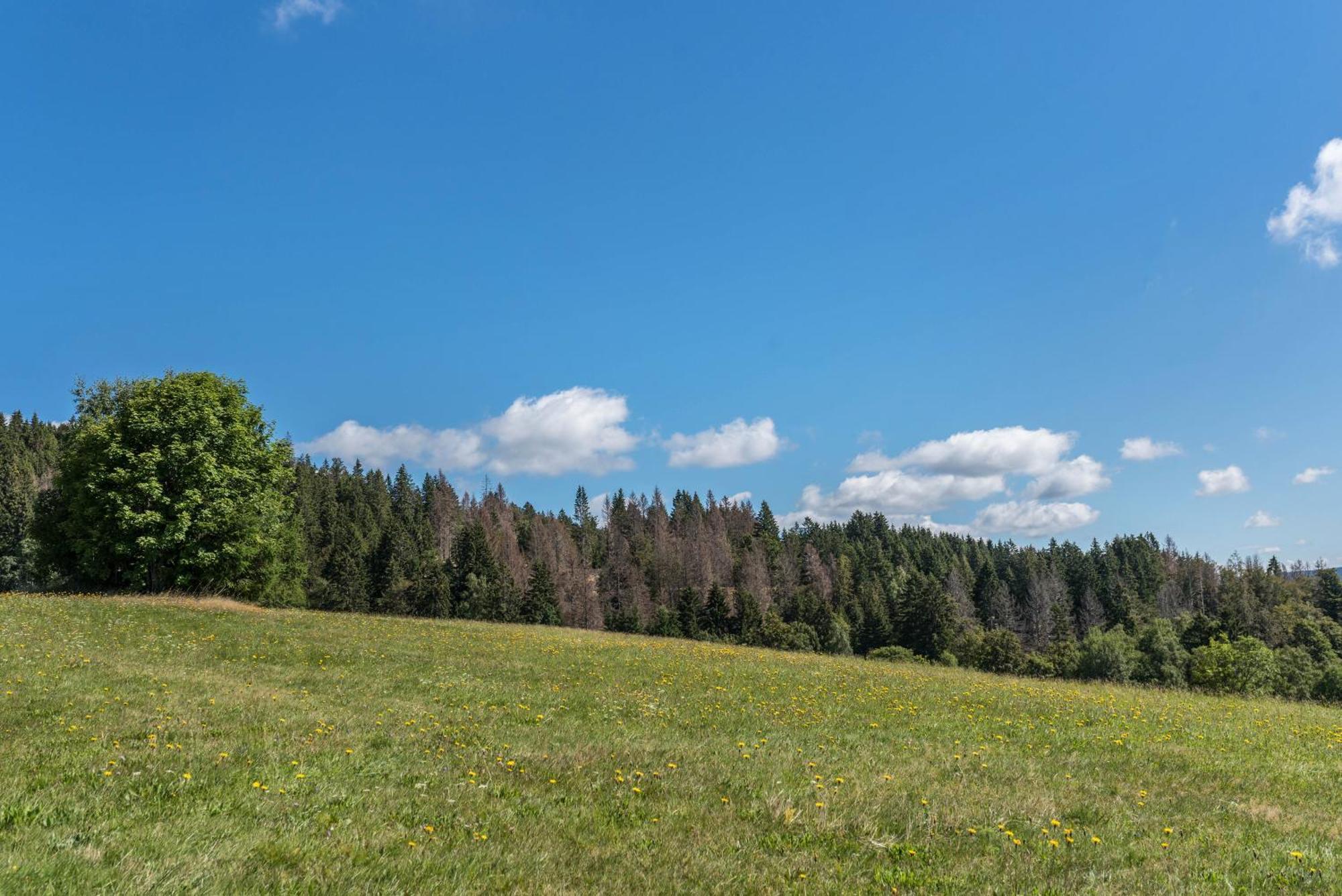 UrbergHaus Isele公寓 外观 照片